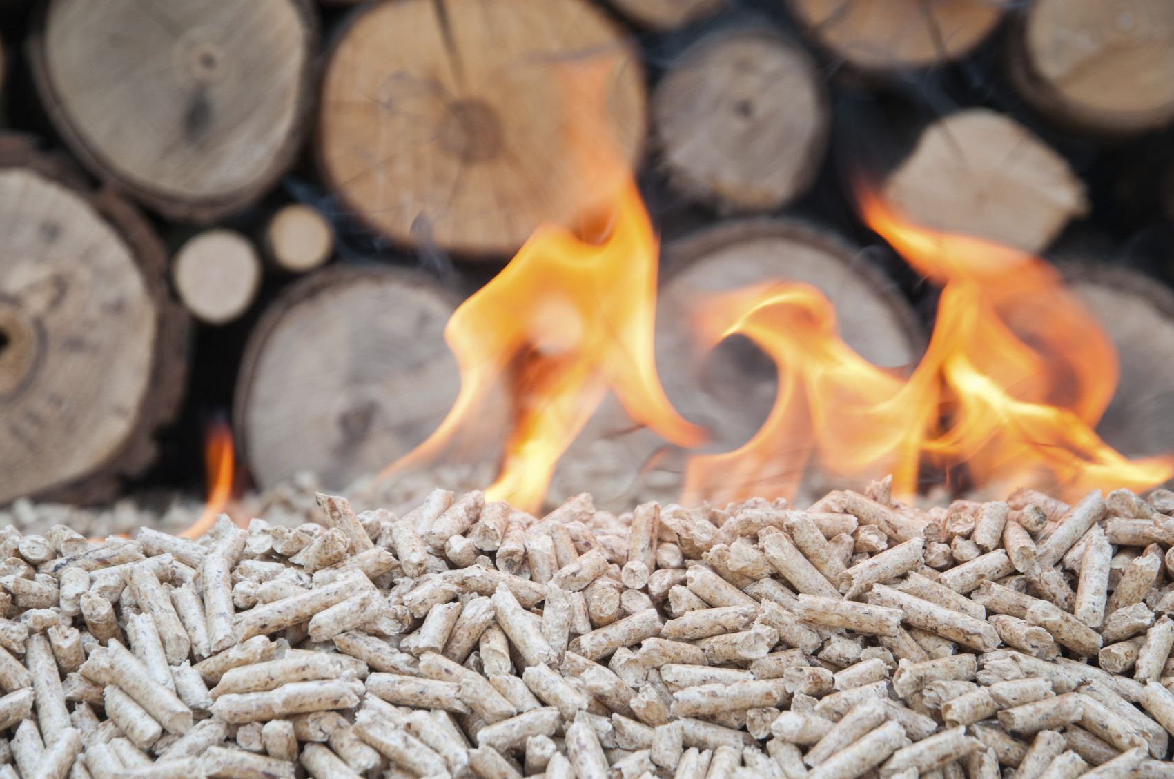 biomass energy essay